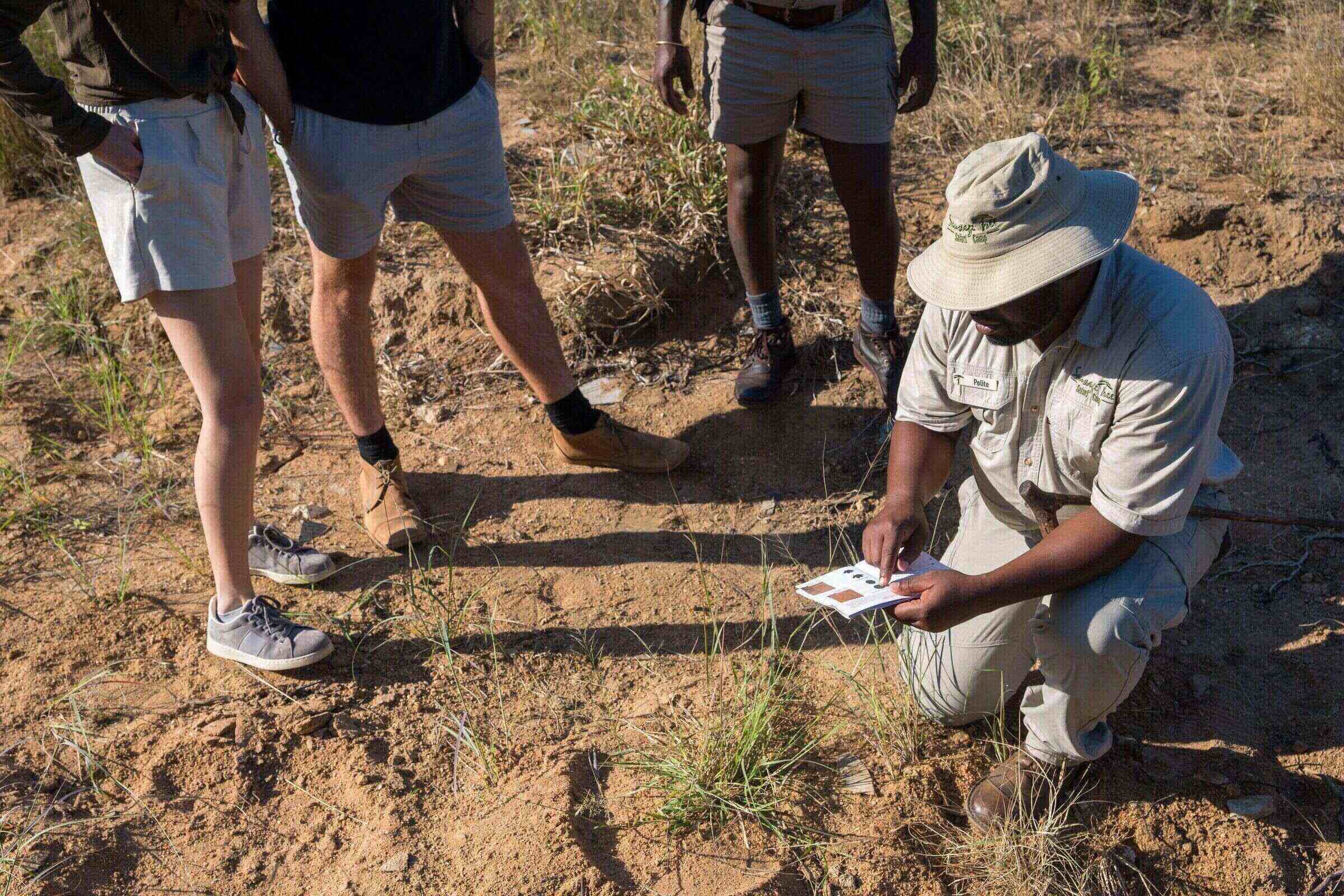 Guide leading guests on foot through the bush at Sausage Tree