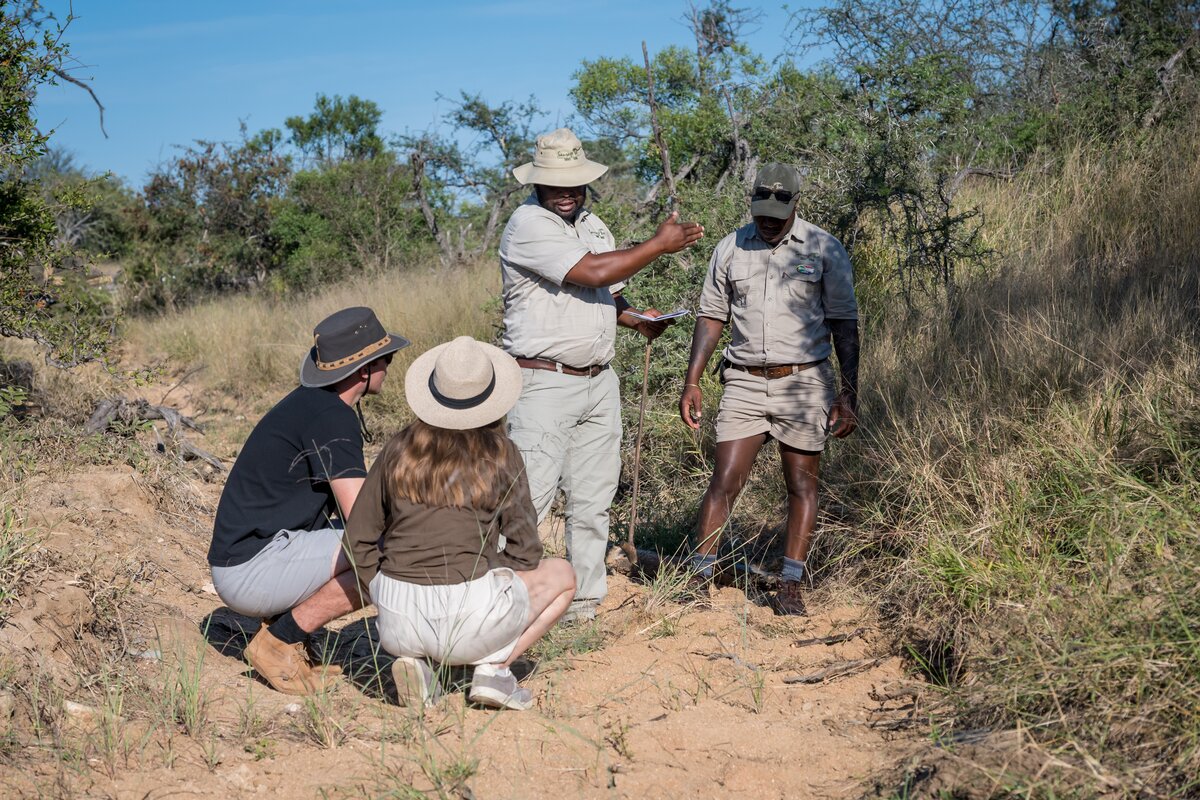 Guide leading guests on foot through the bush at Sausage Tree