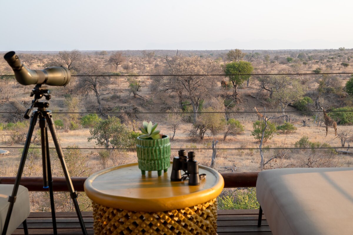 A camera and spotting scope set up on the camp deck at golden hour