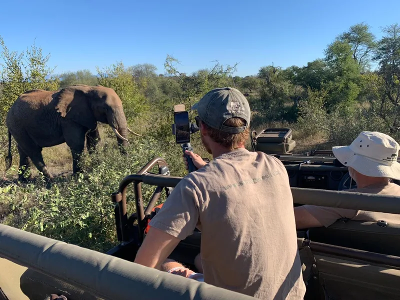 Guests photographing an elephant from the back of an open safari vehicle