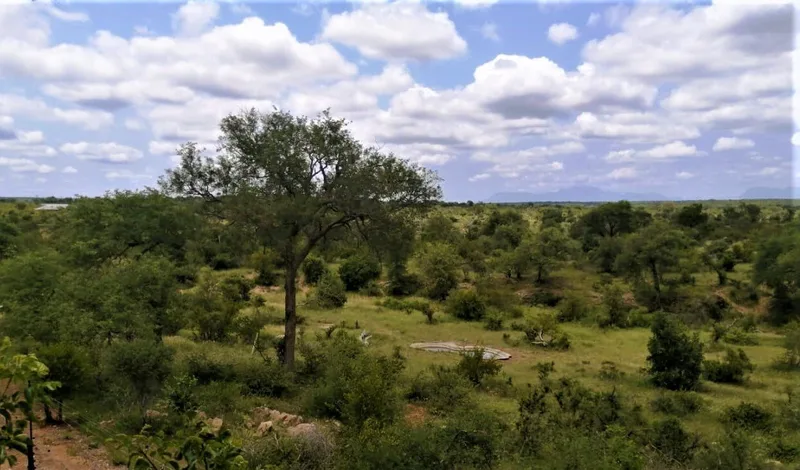 A view of a lush green field with trees and clouds in the sky.
