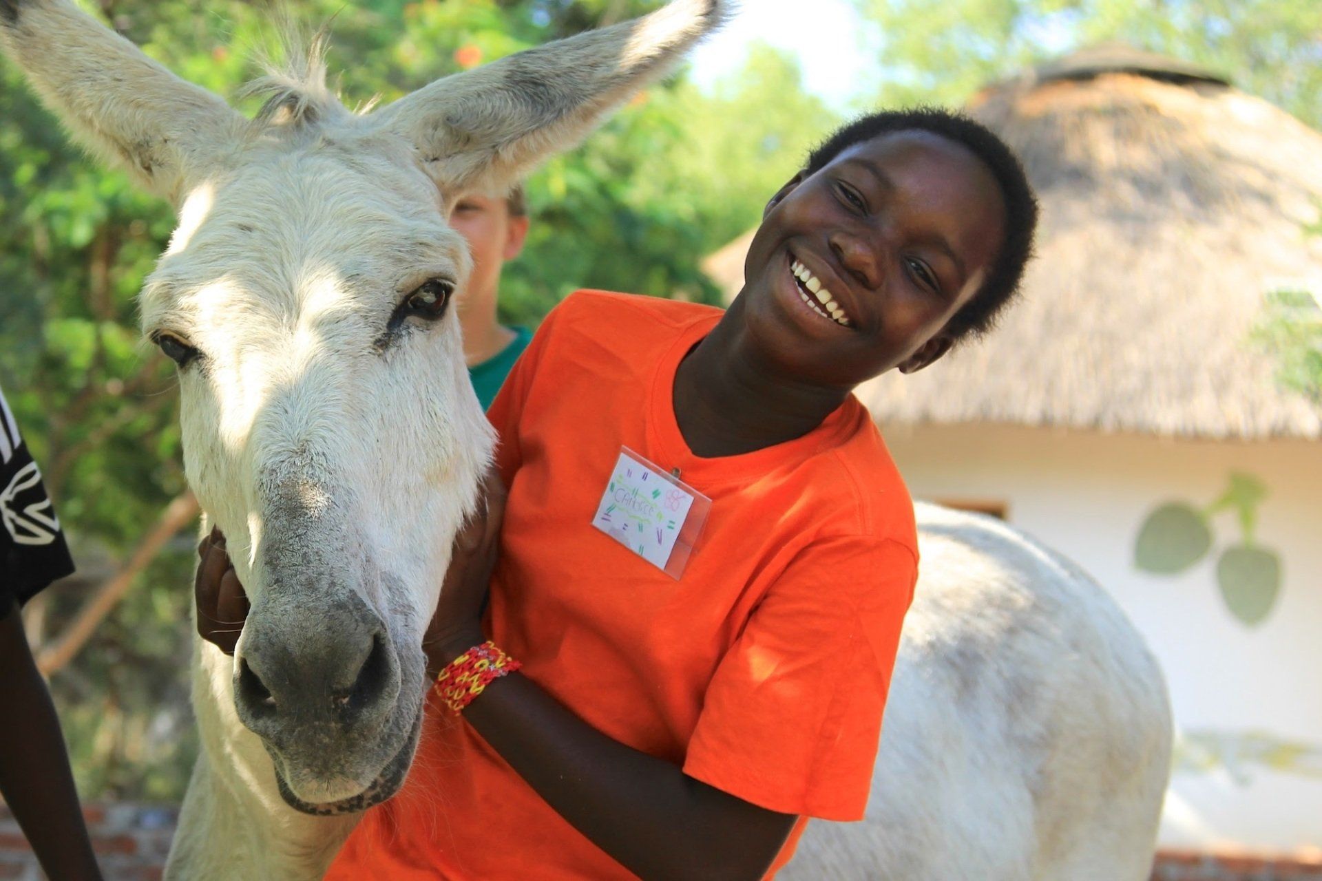 A child with Eeyore the donkey at Daktari