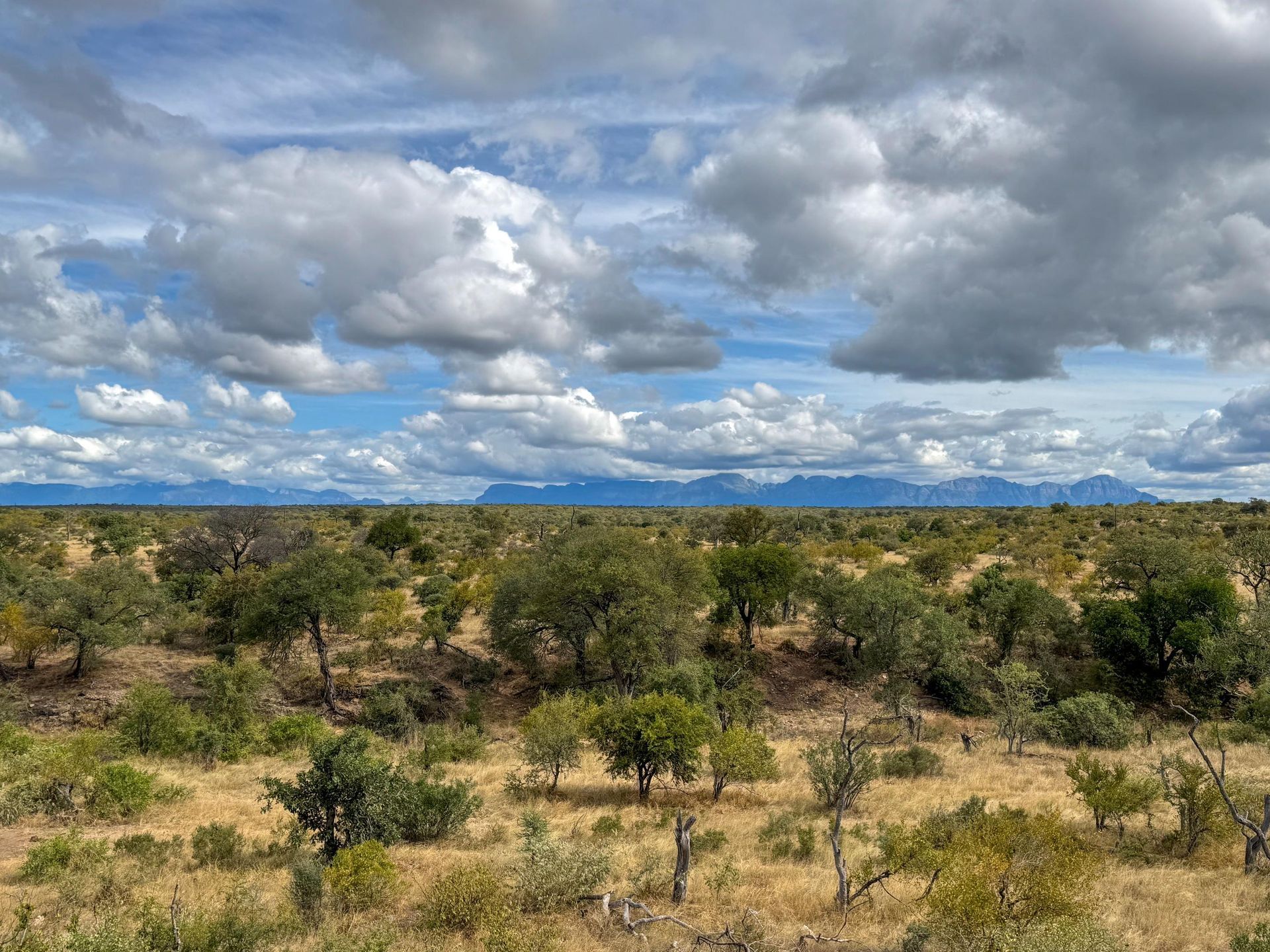View from the deck across the reserve