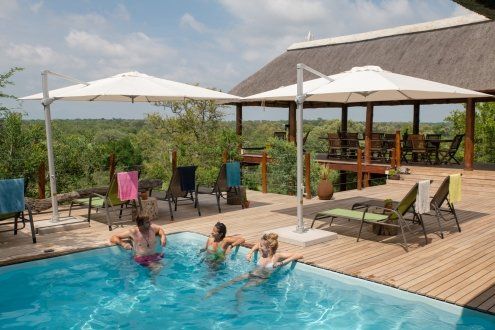 Placeholder — camp pool with loungers and bush view