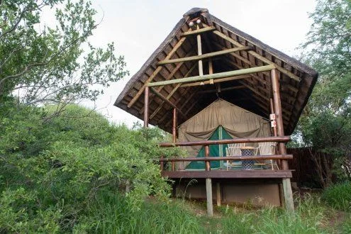 The camp at first light — the journey begins