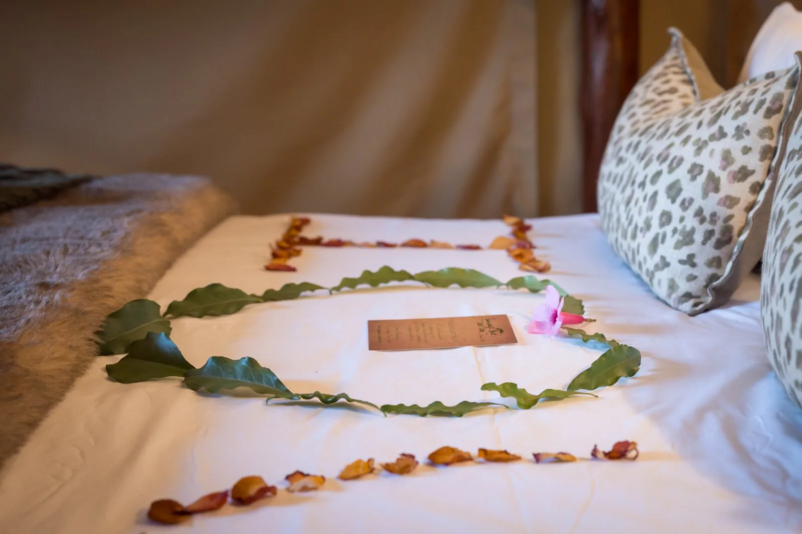 Tent 5 romance turndown with rose-petal bed at Sausage Tree
