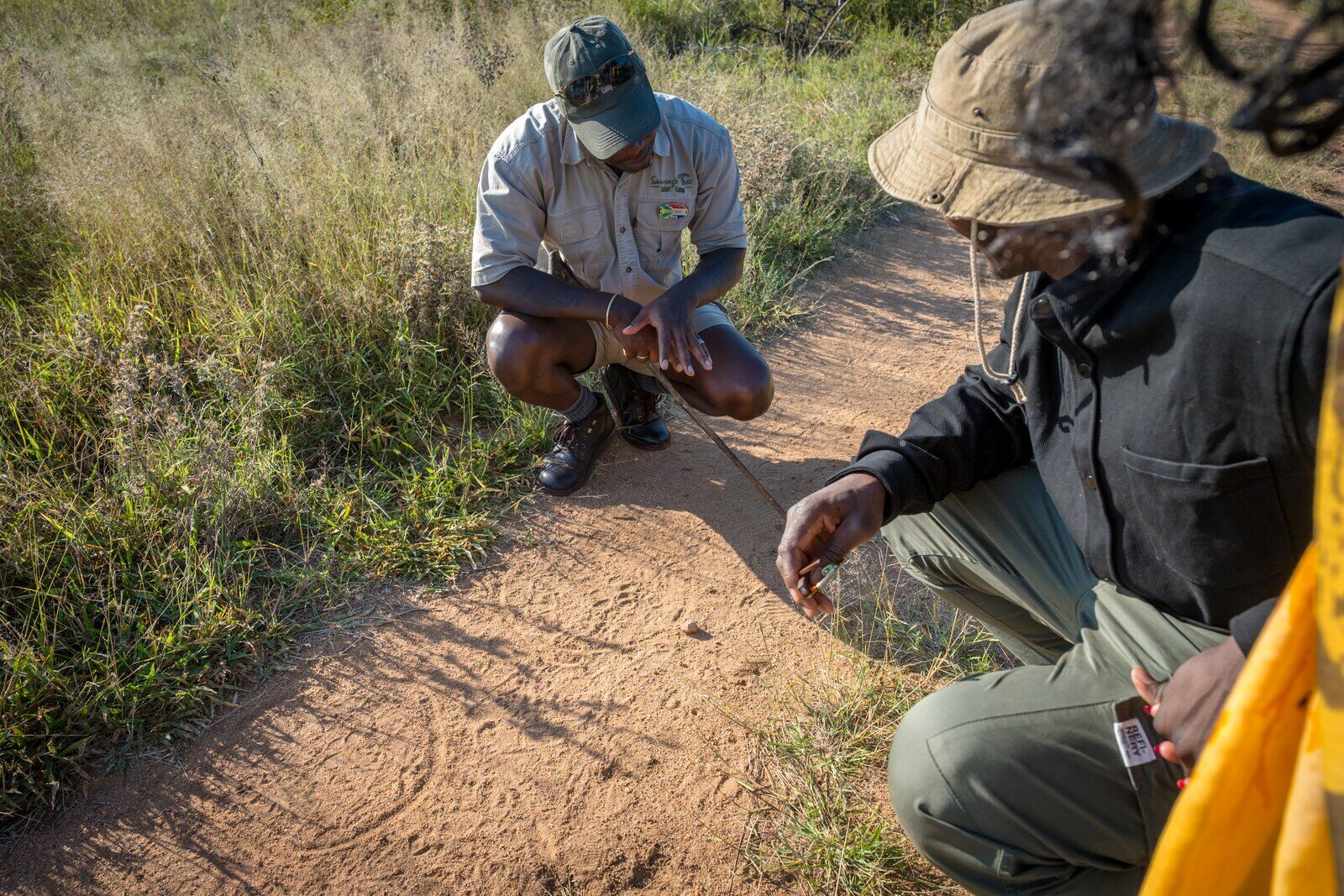 Fresh leopard track in soft sand
